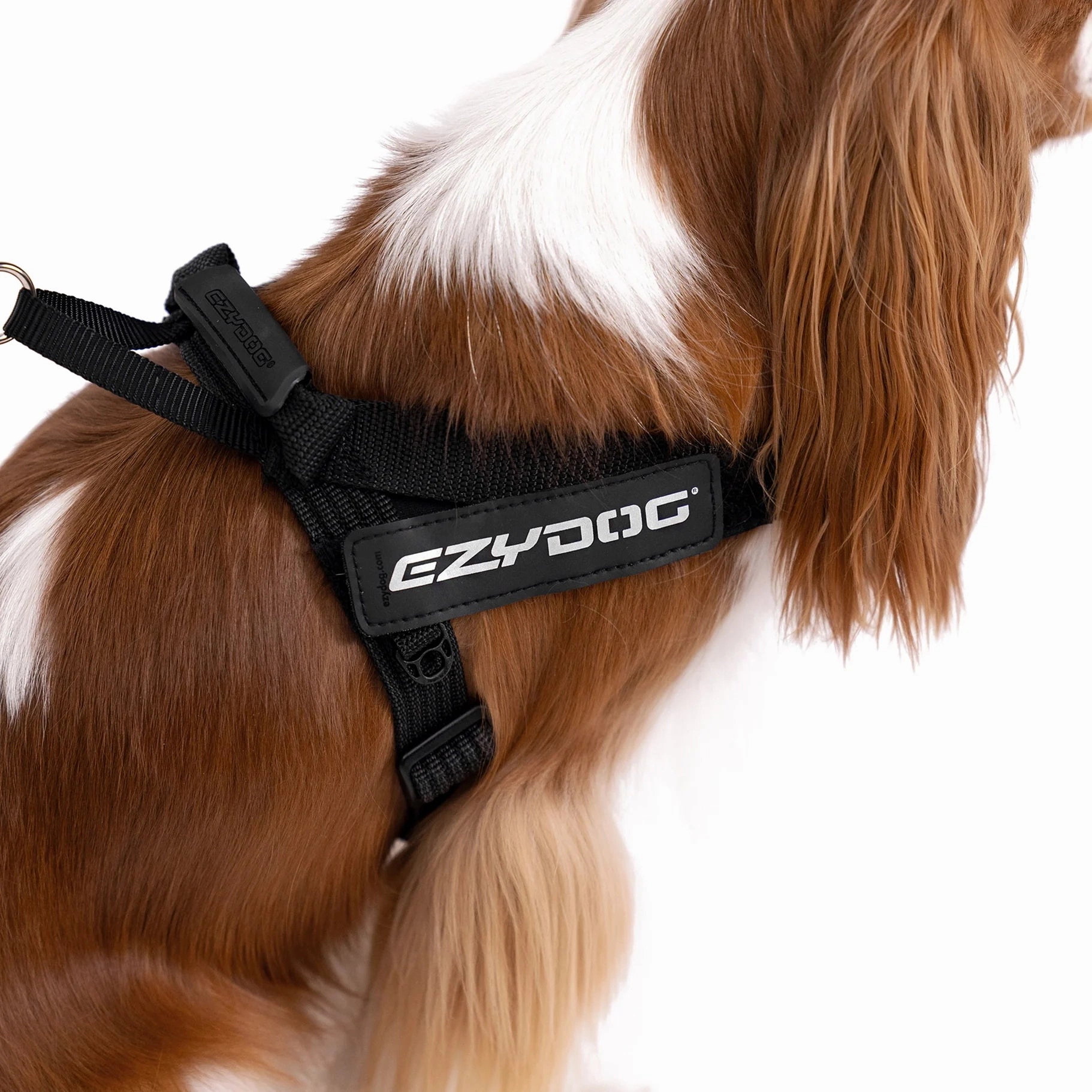 EzyDog Express Black Dog Harness Large ($)($)