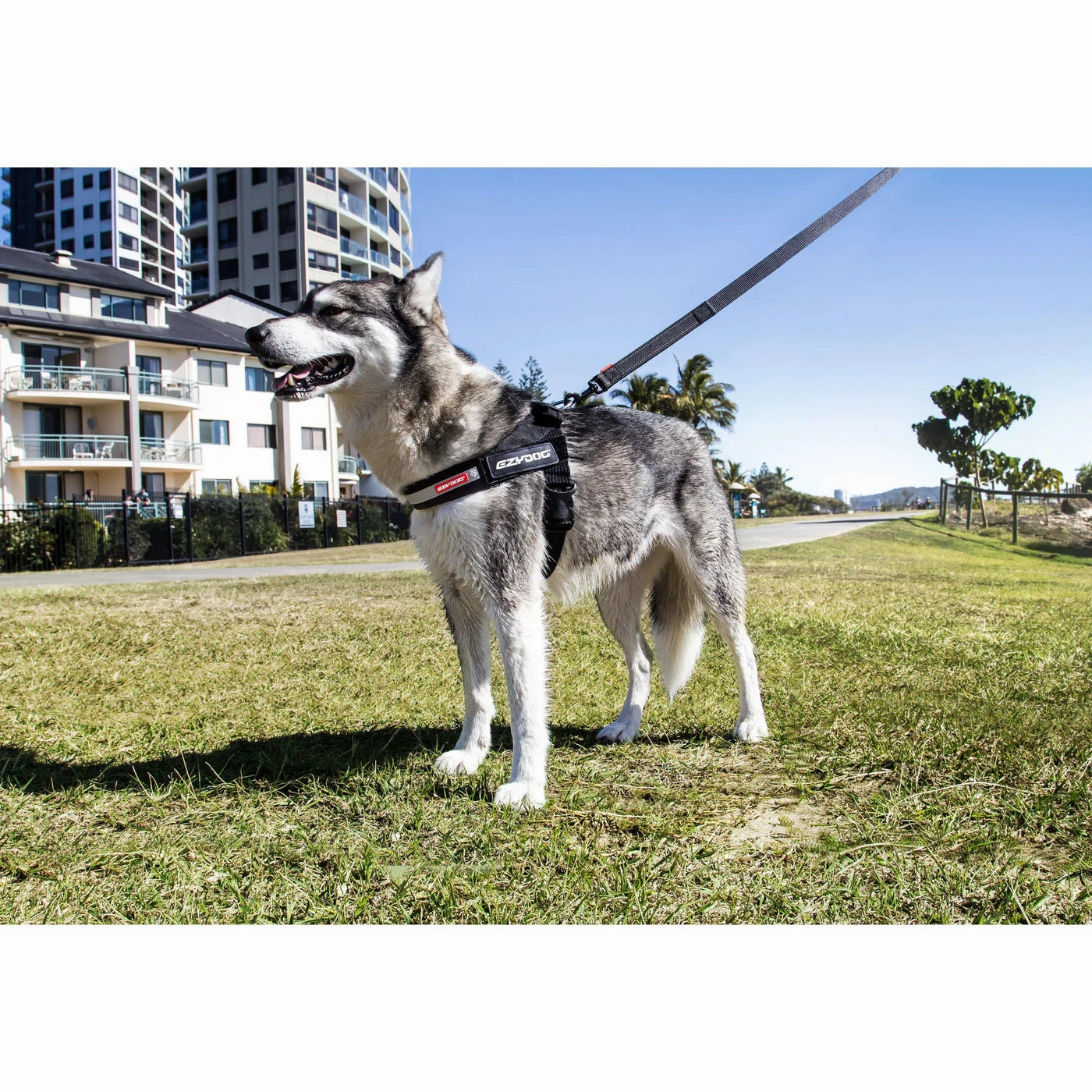 EzyDog Express Red Dog Harness Extra Extra Small ($)($)