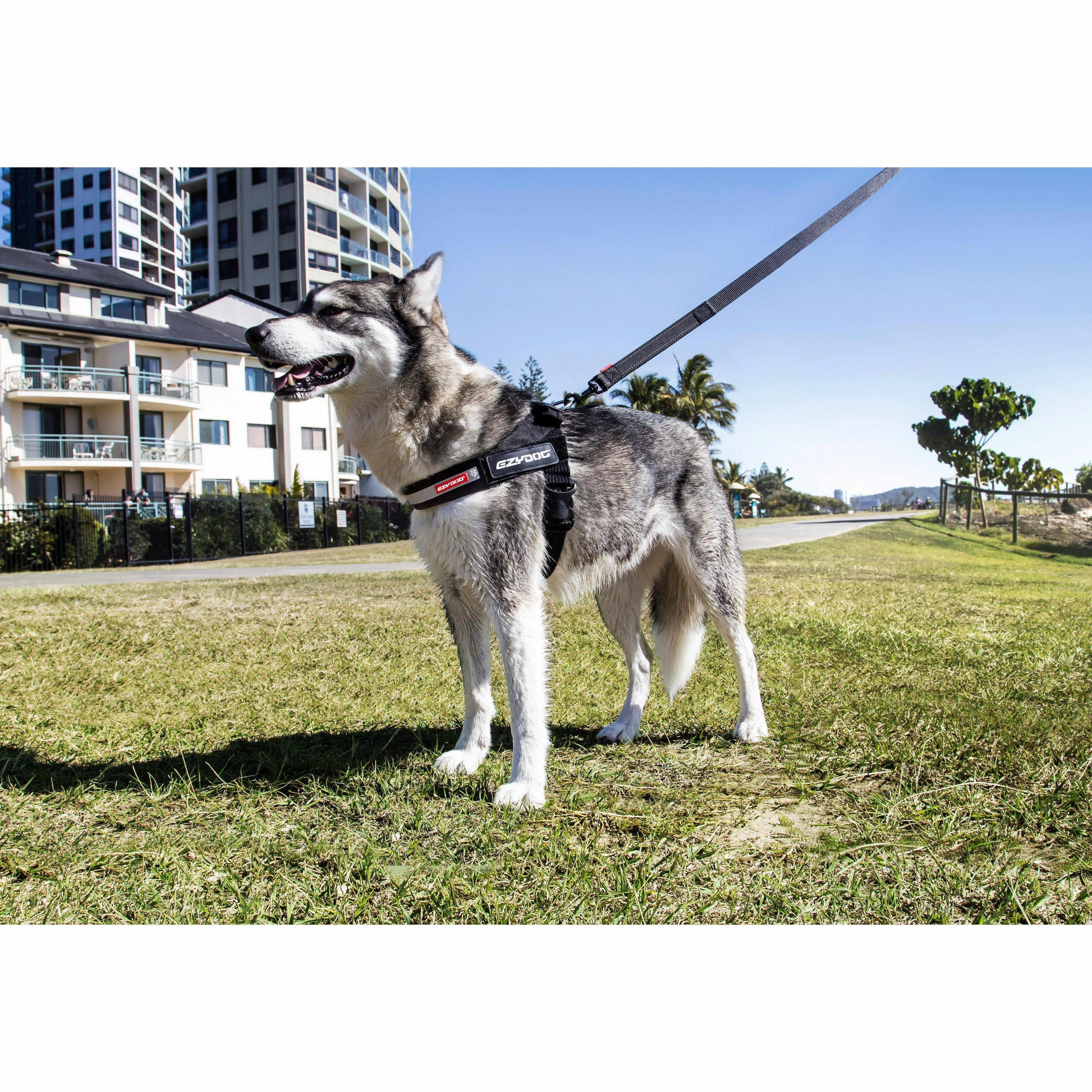 EzyDog Express Red Dog Harness Small ($)($)