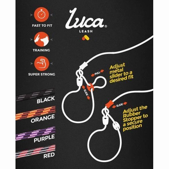 EzyDog Luca Dog Lead Black 6mm ($)($)