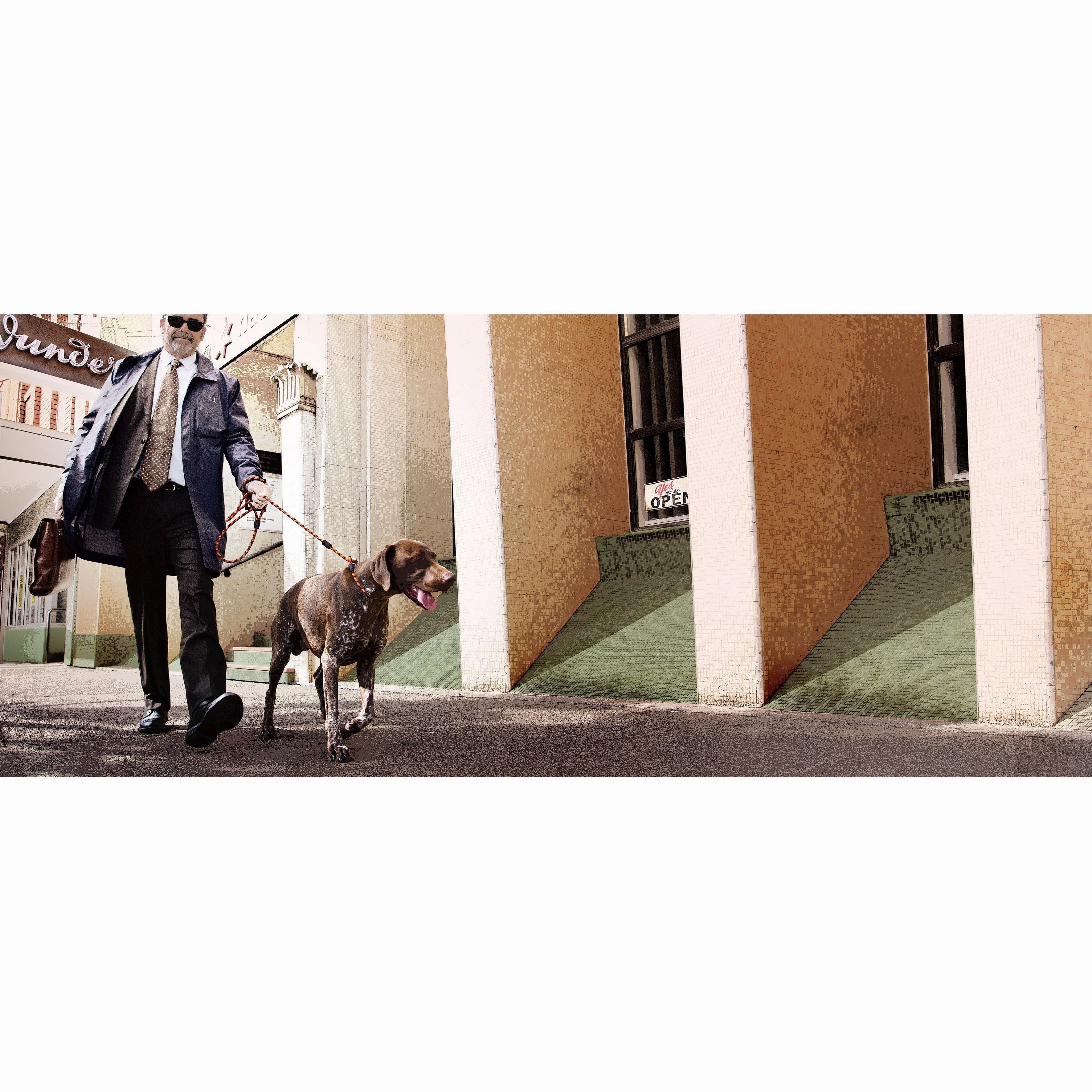 EzyDog Luca Dog Lead Black 6mm ($)($)