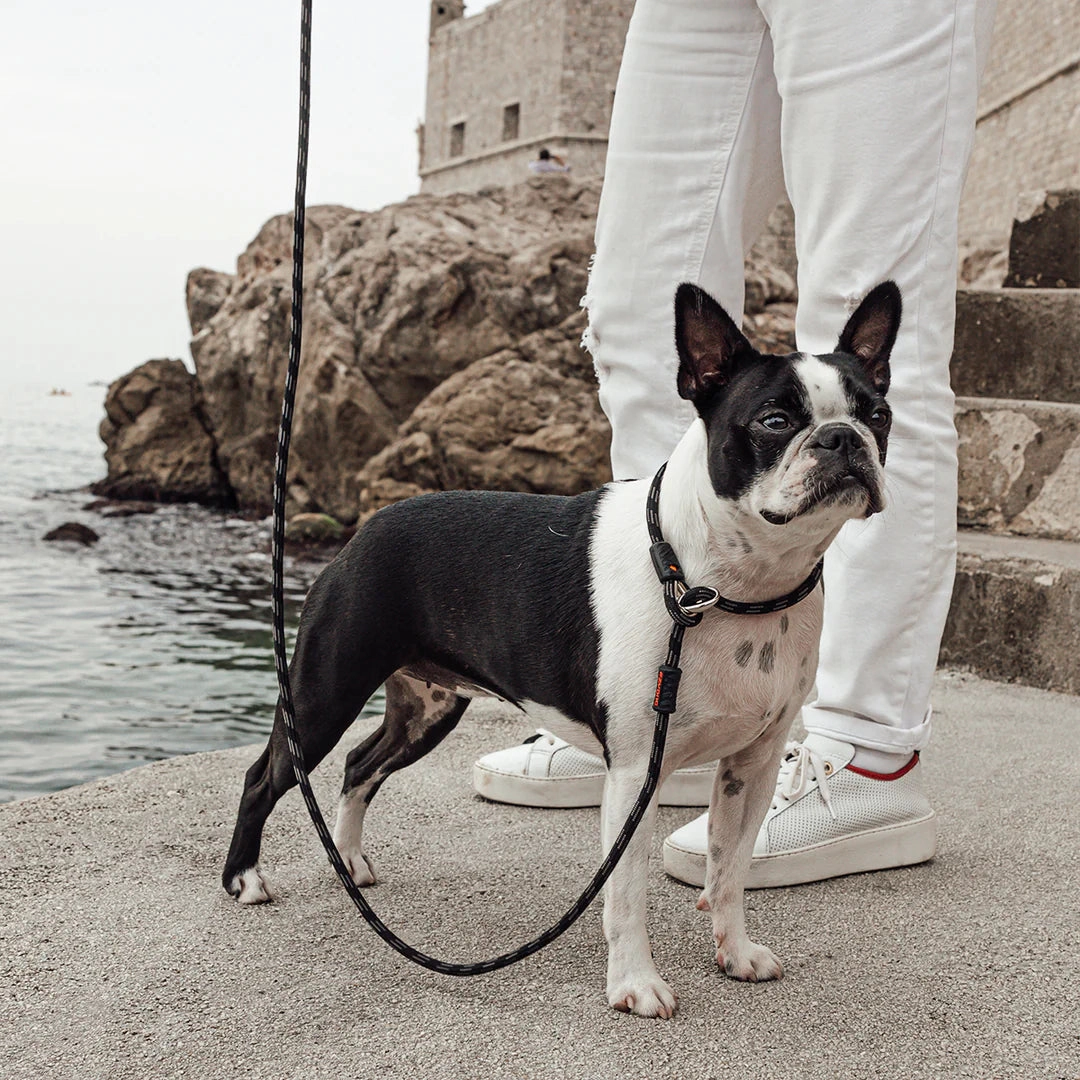 EzyDog Luca Dog Lead Blue 6mm ($)($)
