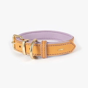 EzyDog Oxford Leather Dog Collar Blonde and Lilac Large ($)($)