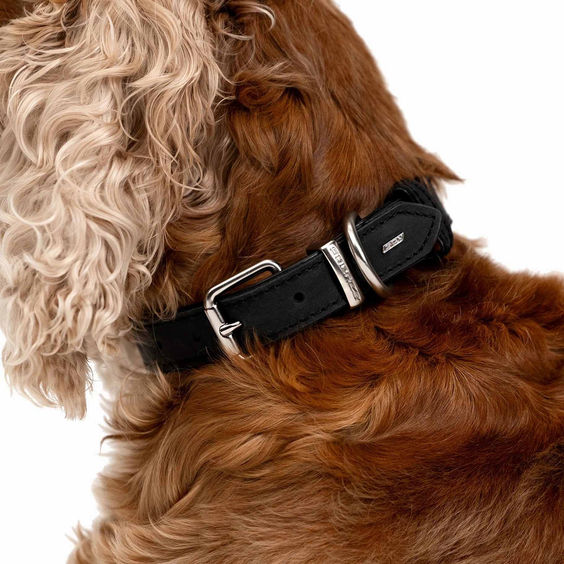 EzyDog Oxford Leather Dog Collar Blonde and Lilac Large ($)($)