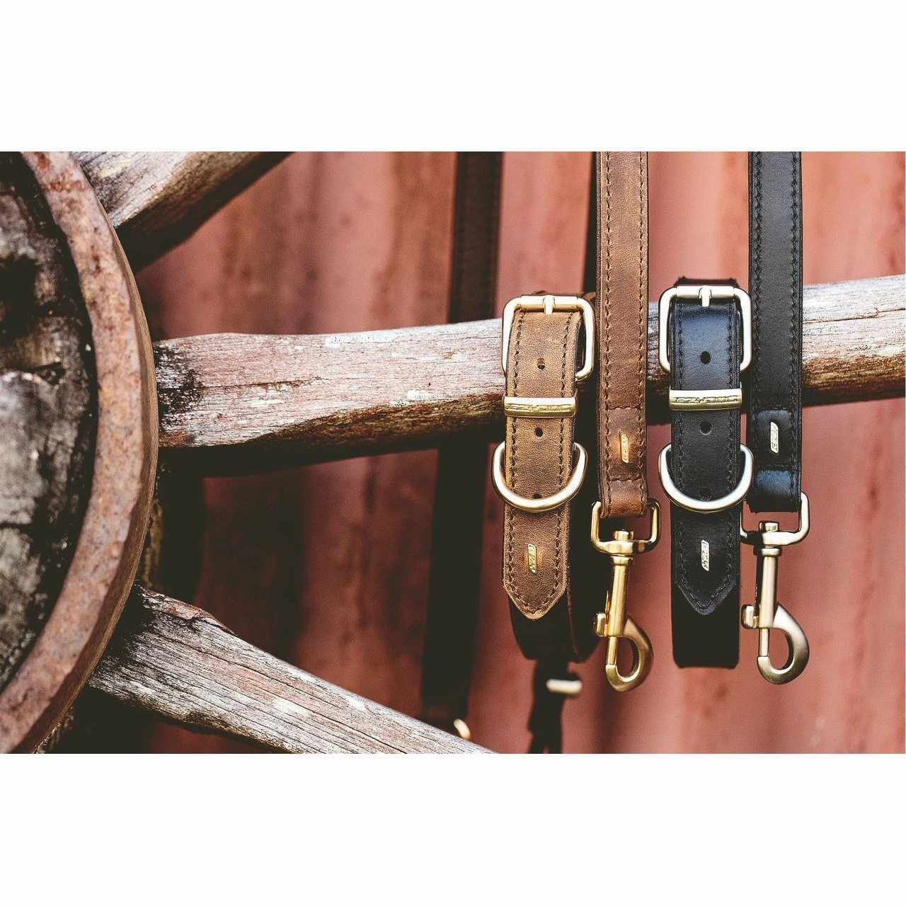 EzyDog Oxford Leather Dog Collar Brown Extra Small ($)($)