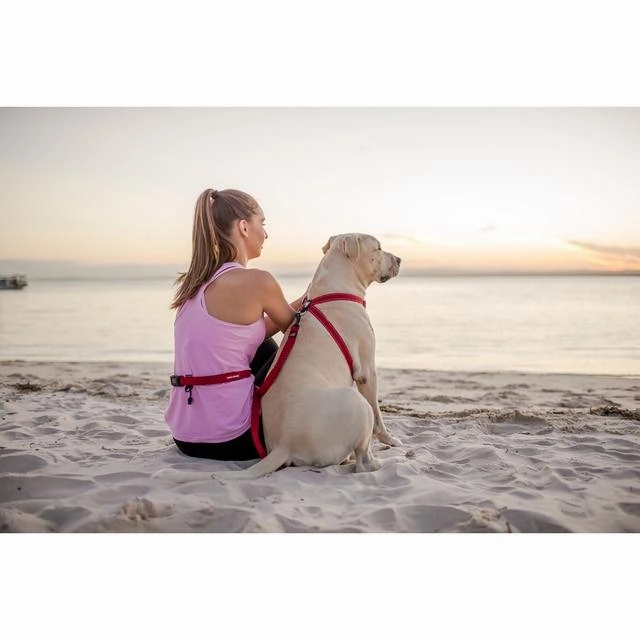 EzyDog Road Runner Dog Lead Black ($)($)