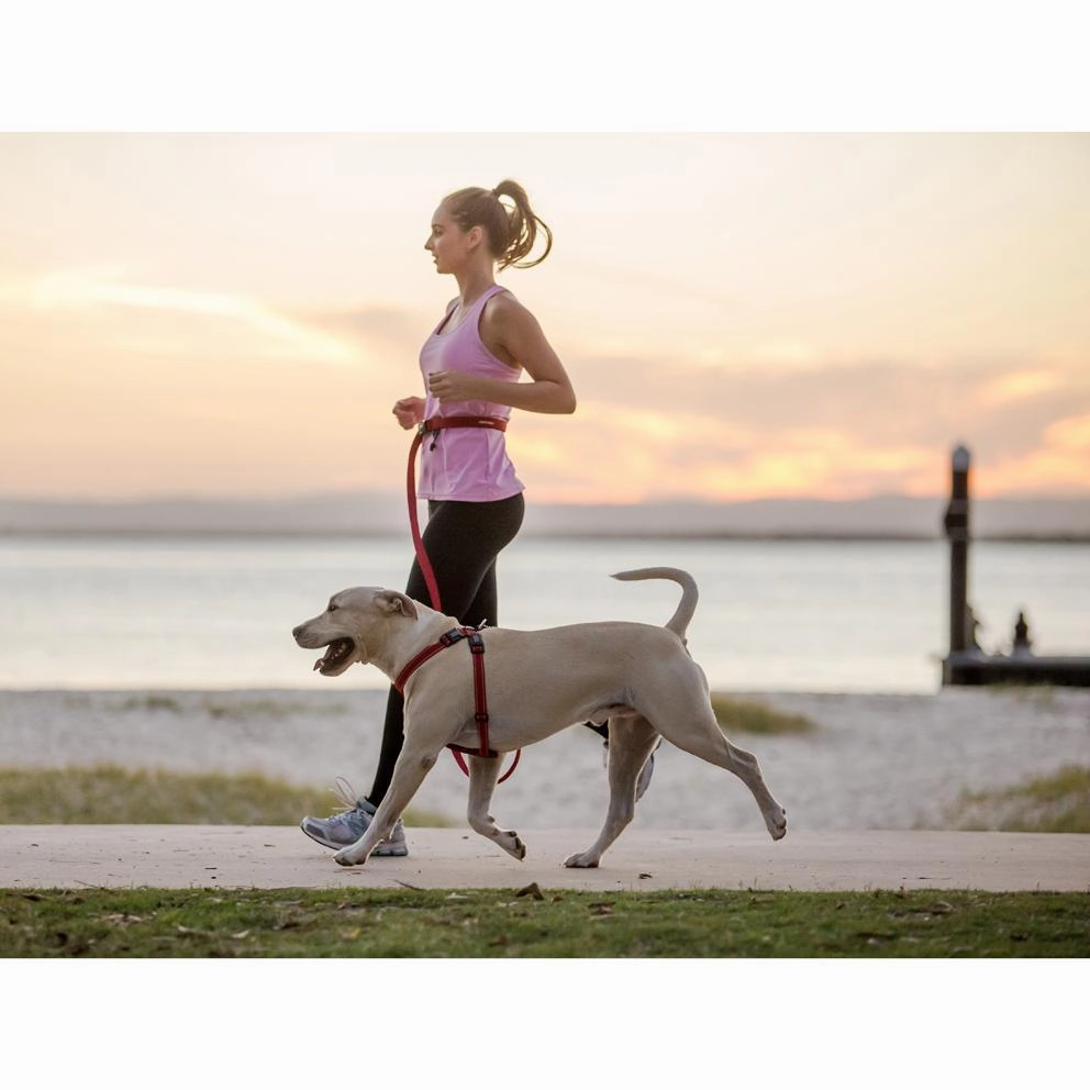 EzyDog Road Runner Dog Lead Black ($)($)