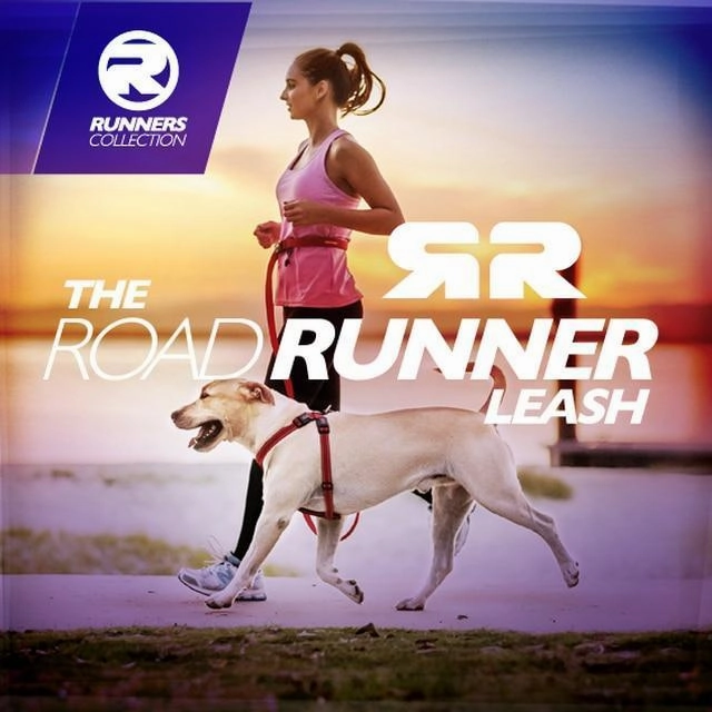 EzyDog Road Runner Dog Lead Black ($)($)