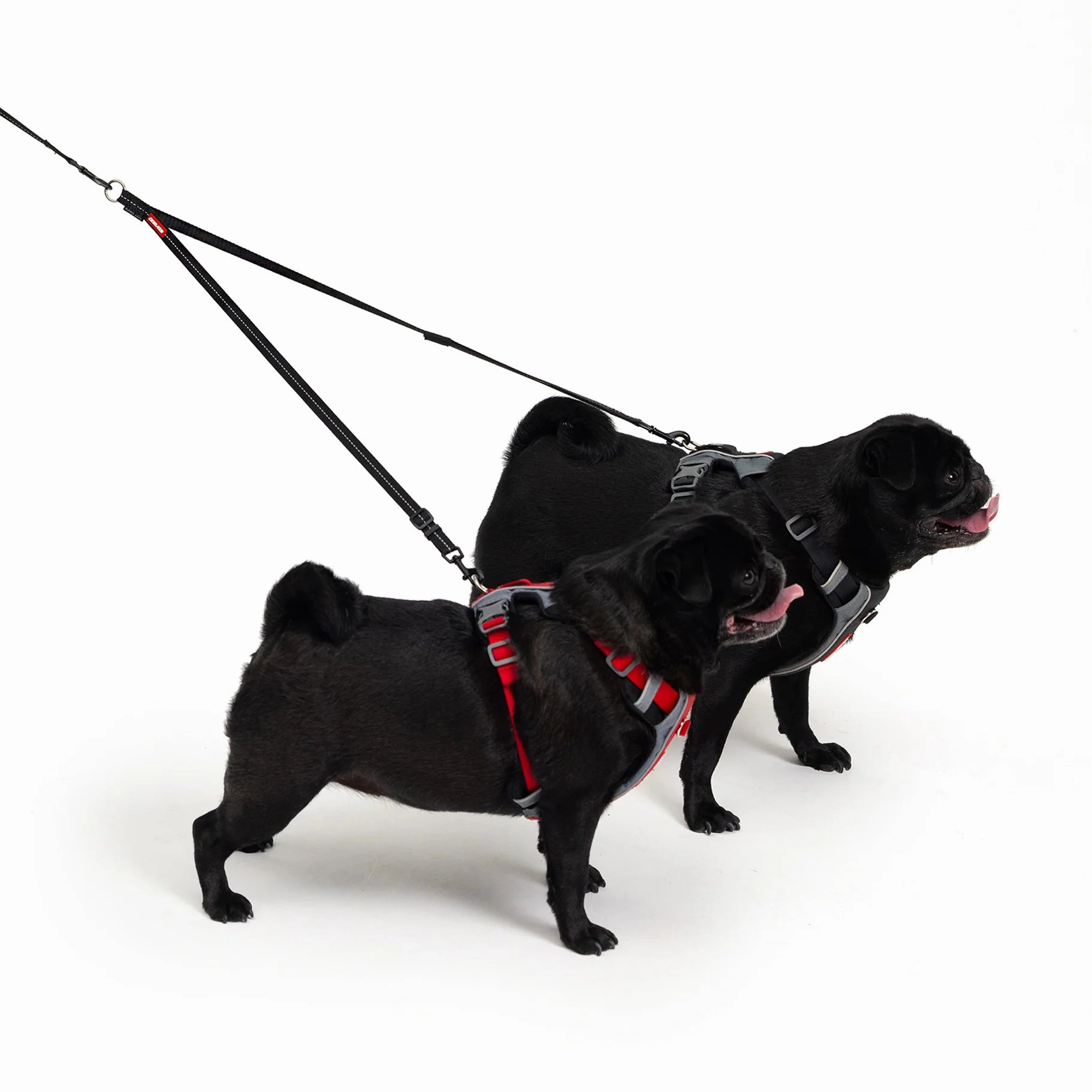 EzyDog Soft Touch Adjustable Lite Coupler Black 35-60cm ($)($)
