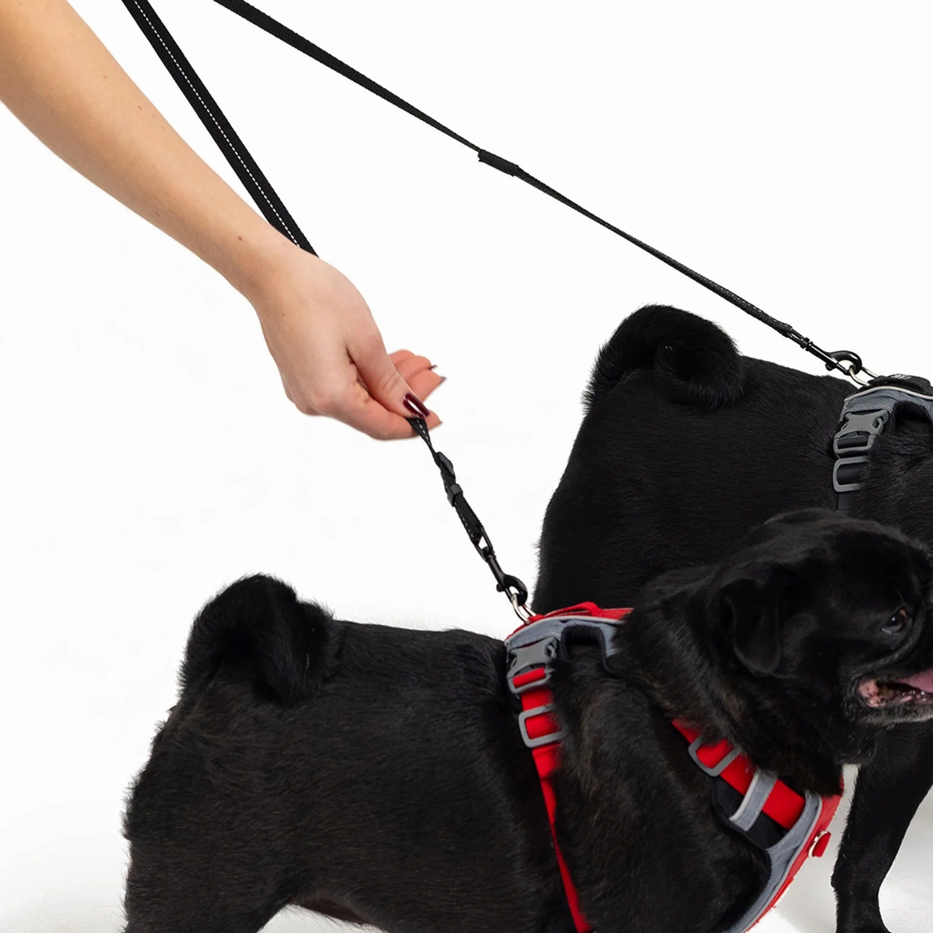 EzyDog Soft Touch Adjustable Lite Coupler Black 35-60cm ($)($)