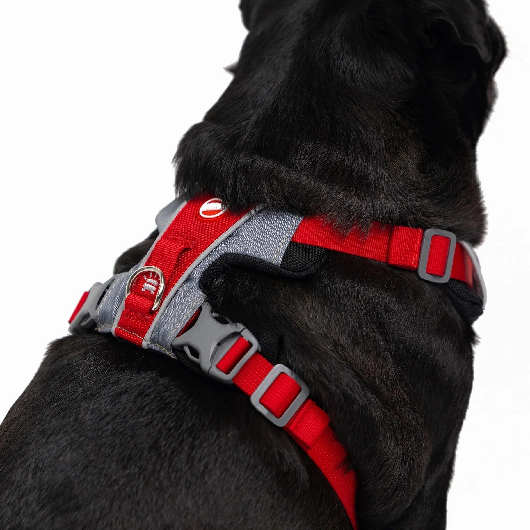 EzyDog X Link Black Dog Harness Small ($)($)