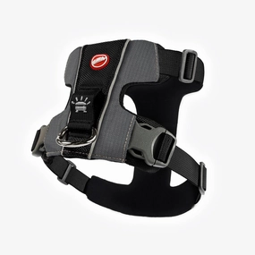 EzyDog X Link Black Dog Harness Small ($)($)
