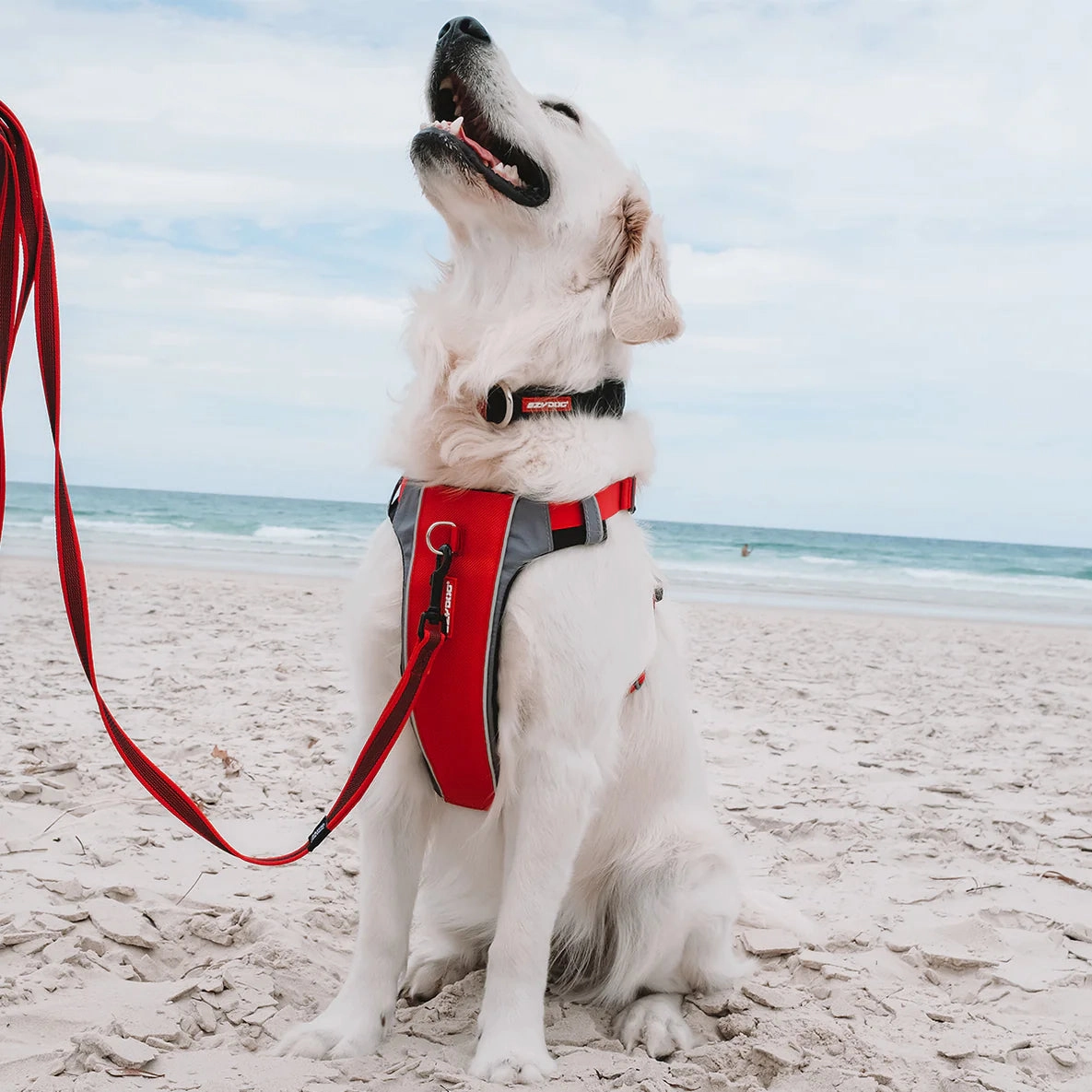 EzyDog X Link Black Dog Harness Small ($)($)