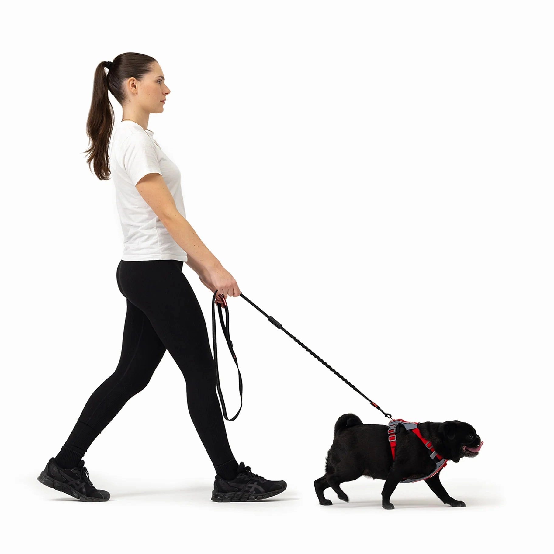 EzyDog X Link Black Dog Harness Small ($)($)