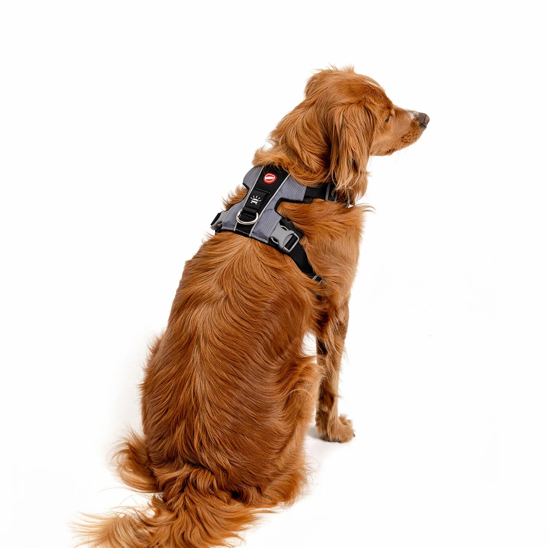 EzyDog X Link Black Dog Harness Small ($)($)