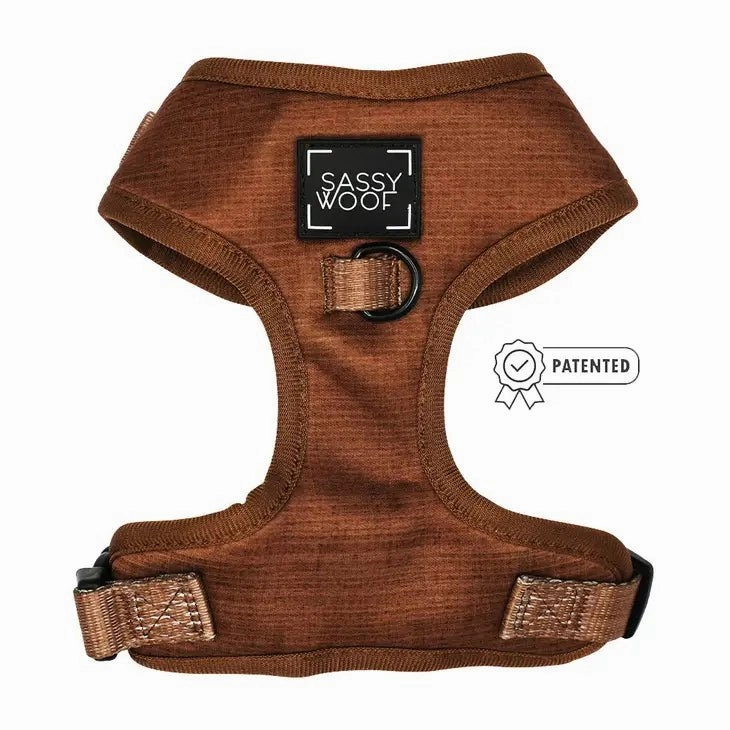 Fall Dog Adjustable Harness - Teddy