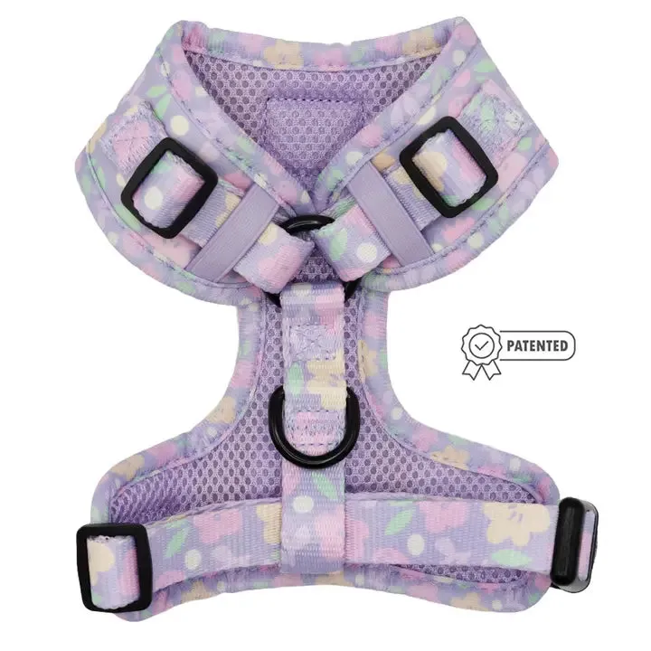 Fleur De Sass Adjustable Harness