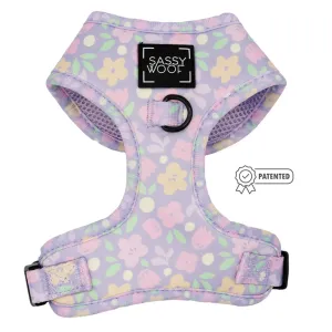 Fleur De Sass Adjustable Harness