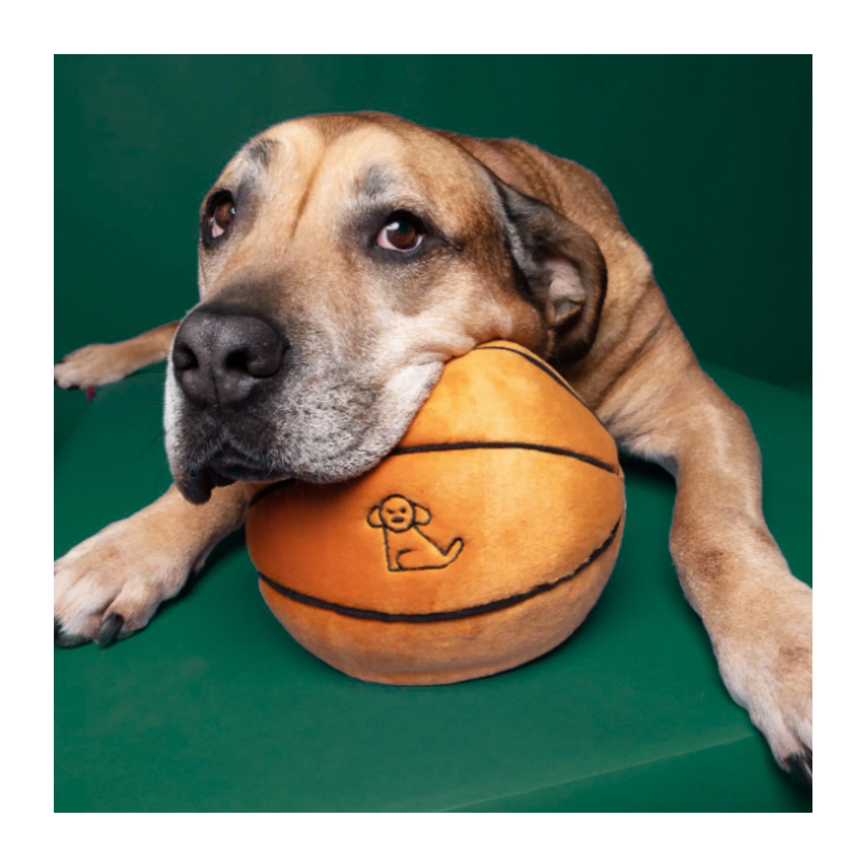 Fluff & Tuff Basketball
