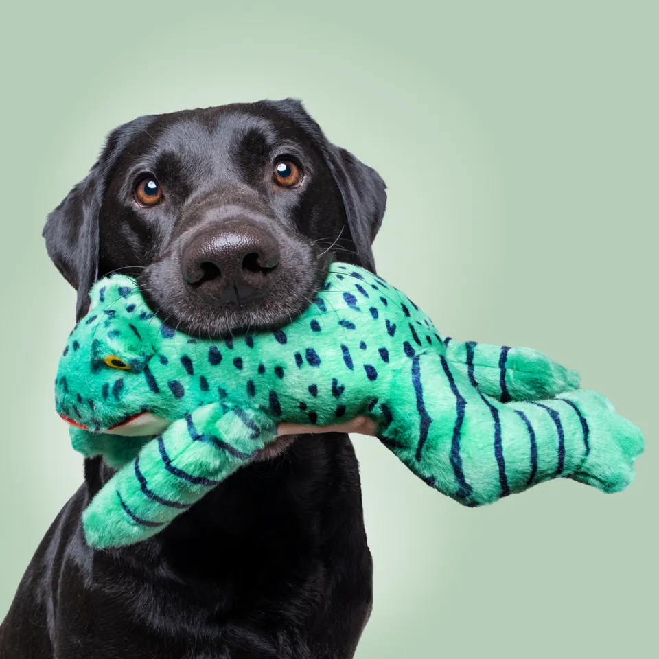 Fluff & Tuff Oliver Frog Plush Dog Toy