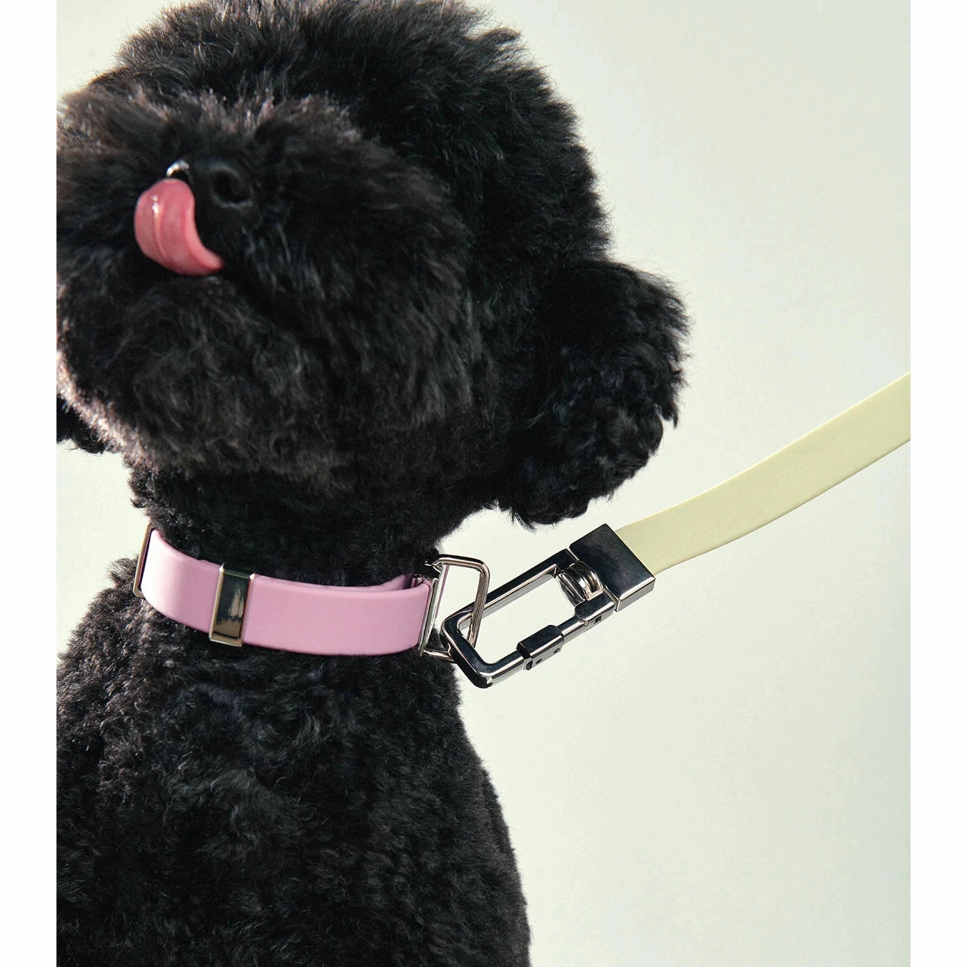 frank green Khaki Dog Lead