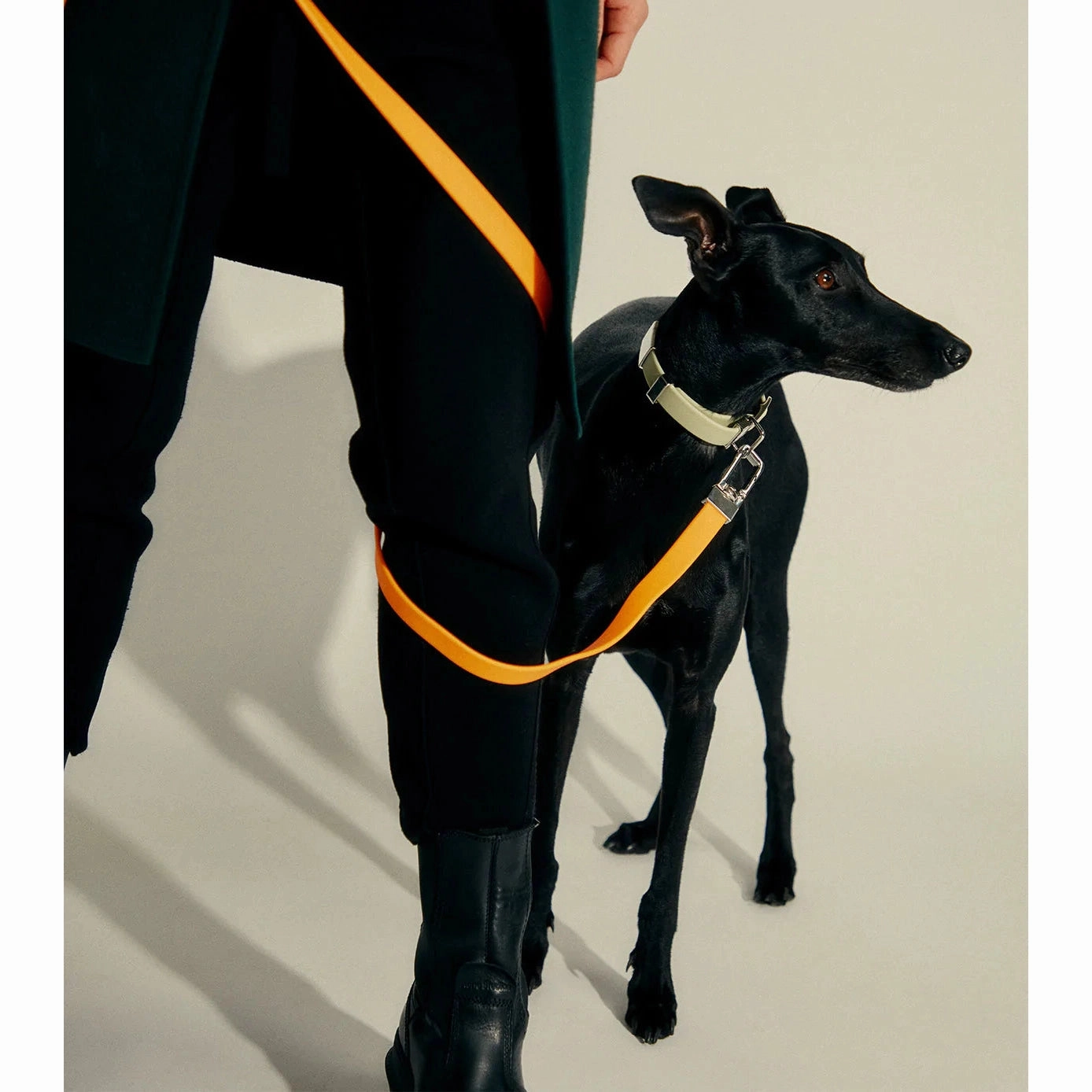 frank green Khaki Dog Lead