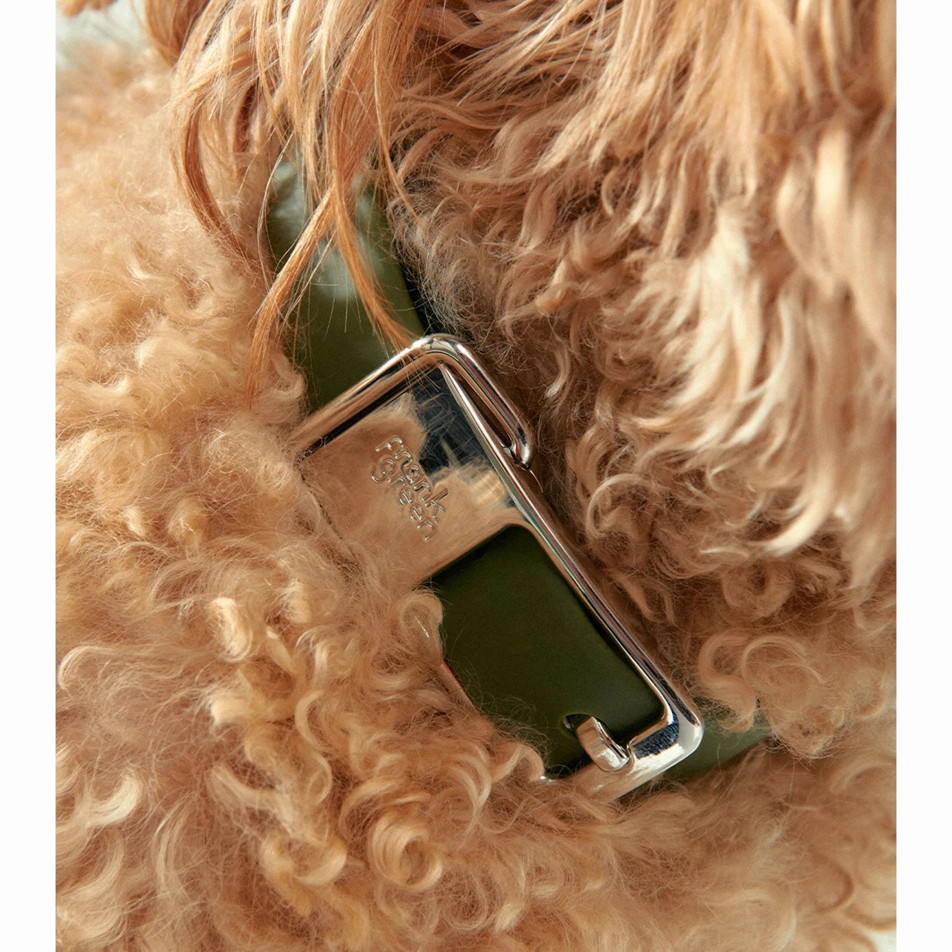 frank green Midnight Dog Collar and Tag Large
