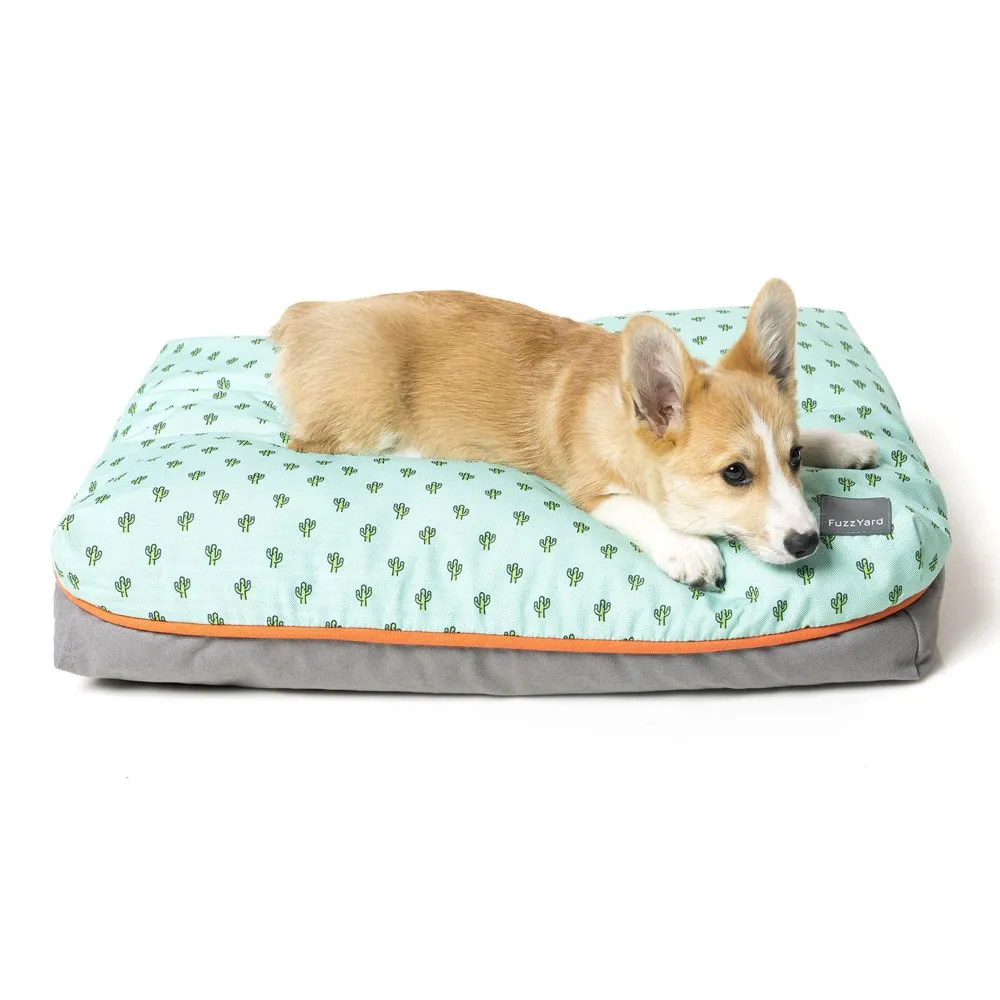 FuzzYard Big Dreamer Pillow Dog Bed (Tucson)