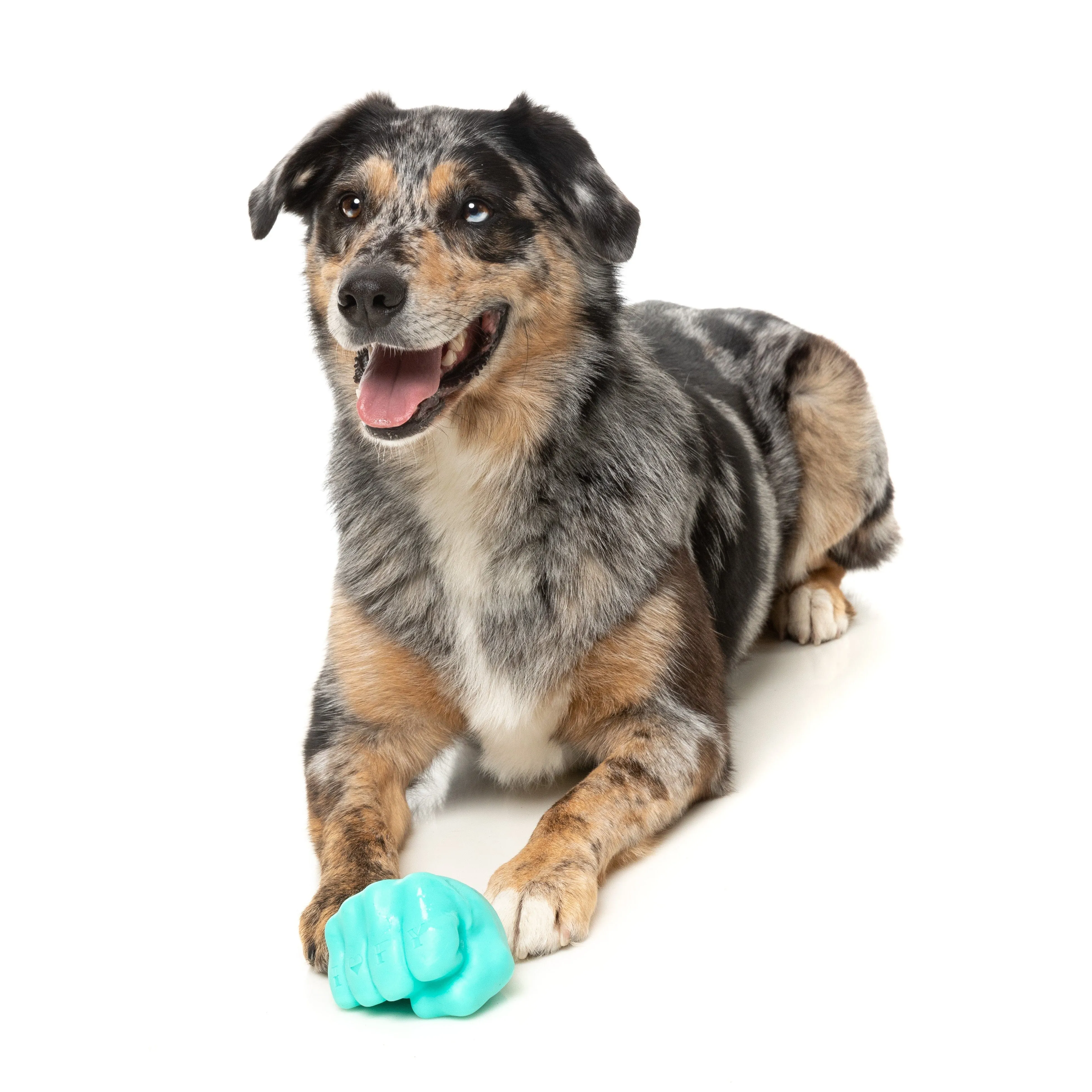 Fuzzyard Dog Toy Knuckle Sandwich