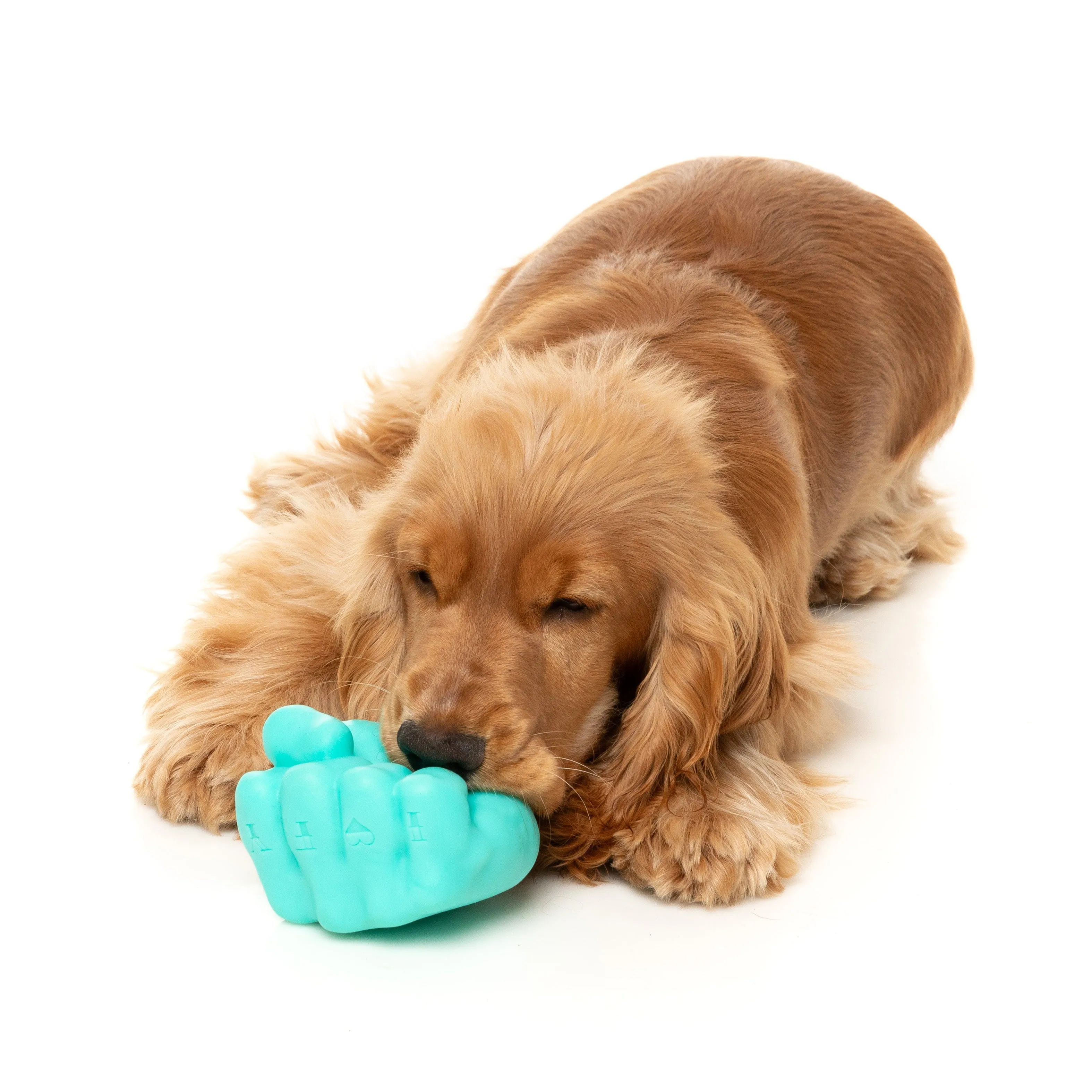 Fuzzyard Dog Toy Knuckle Sandwich