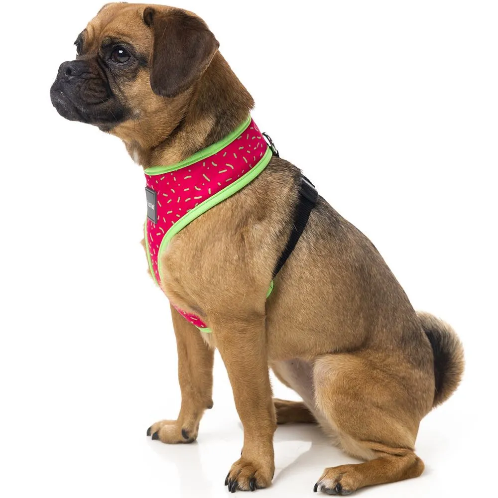 FuzzYard Juicy Dog Harness
