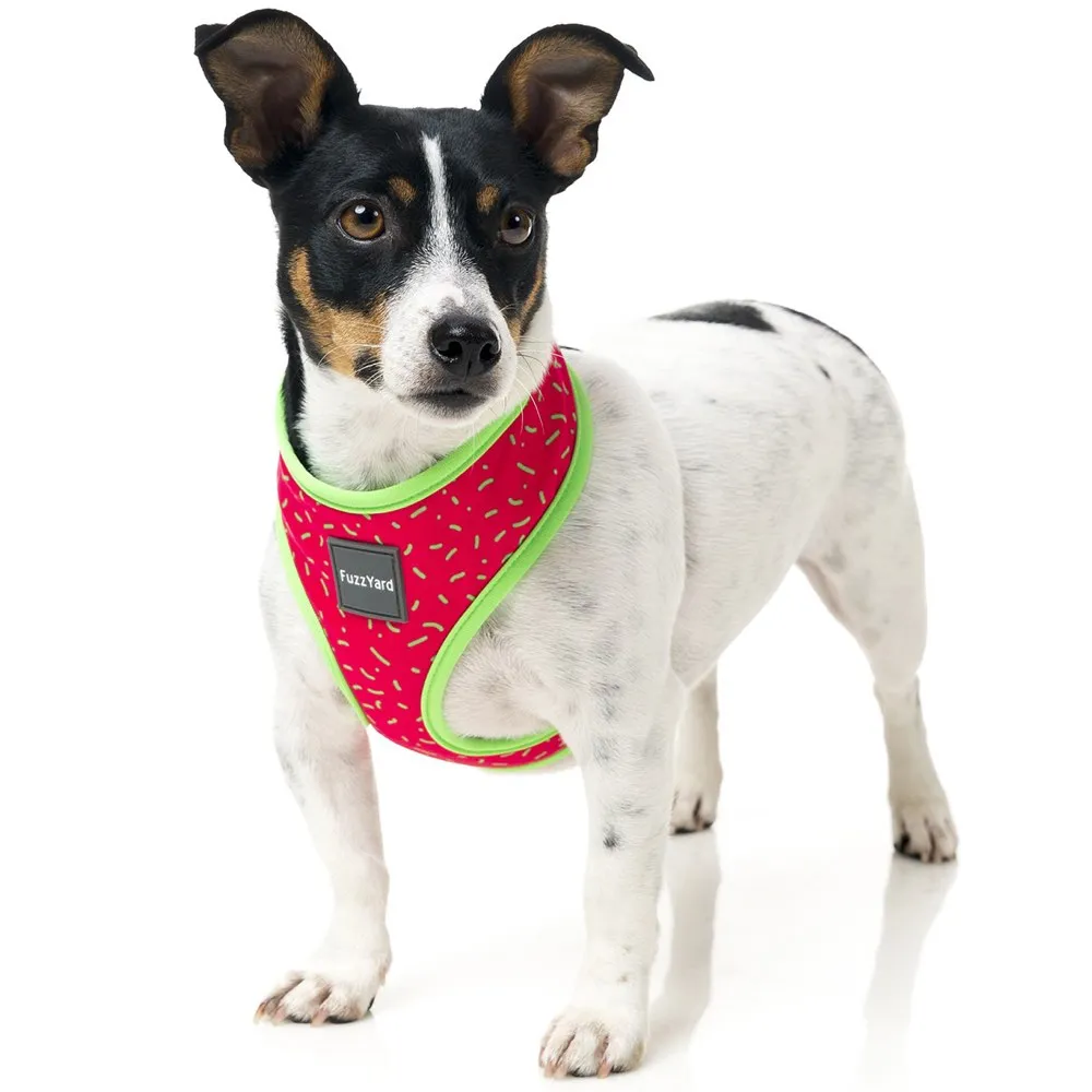 FuzzYard Juicy Dog Harness