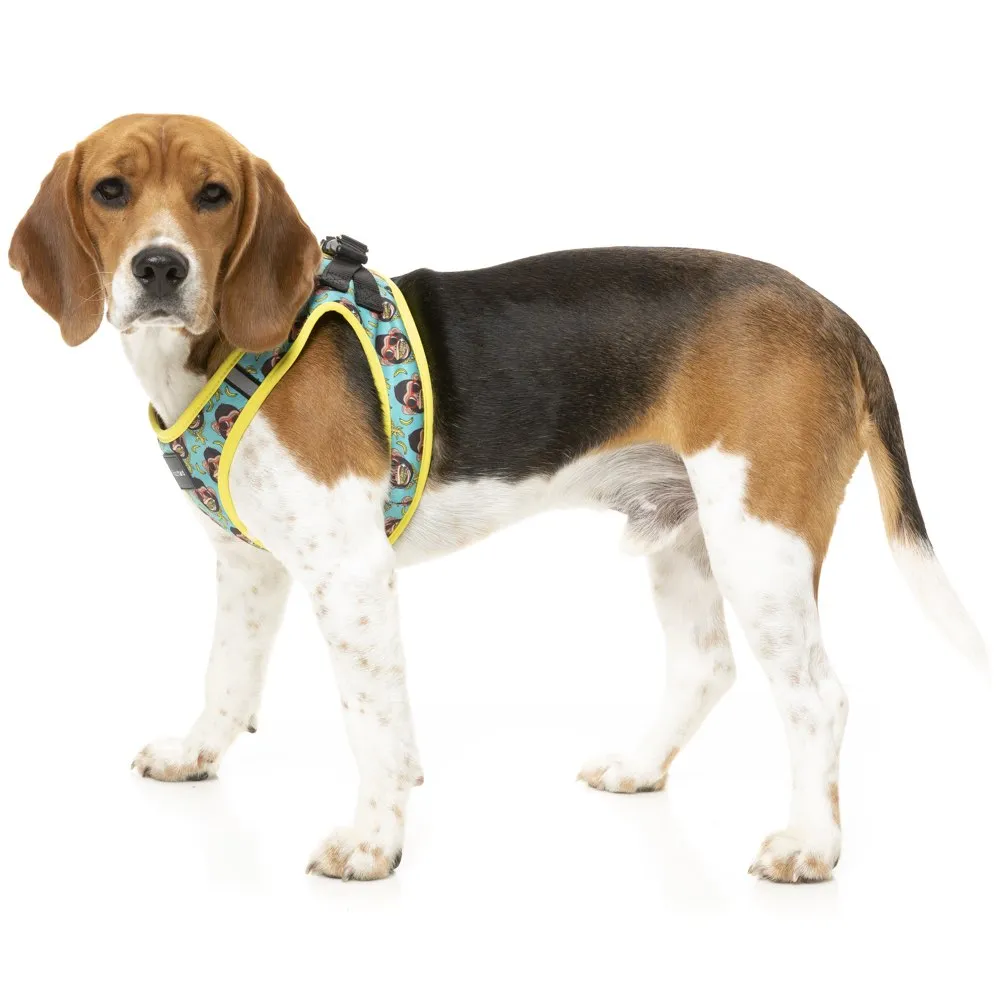 FuzzYard Step-In Dog Harness (Gor-illz)
