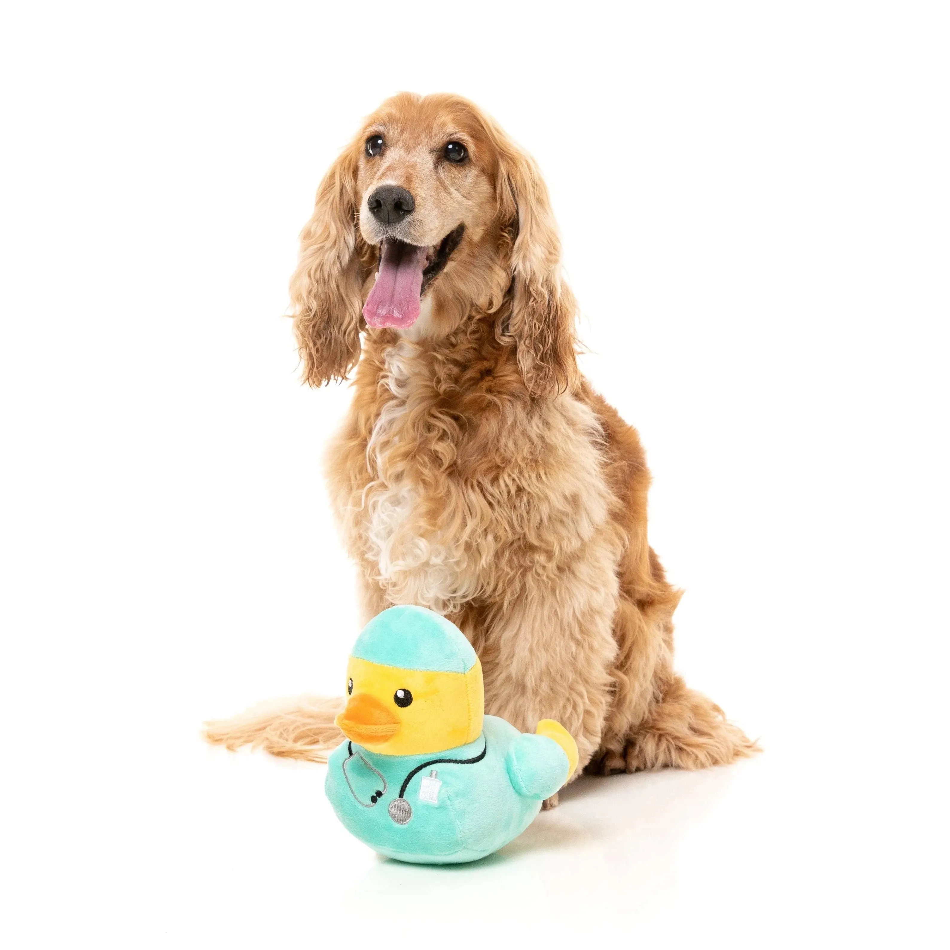 FuzzYard Waddle Squad-dle Ducktor Plush Dog Toy