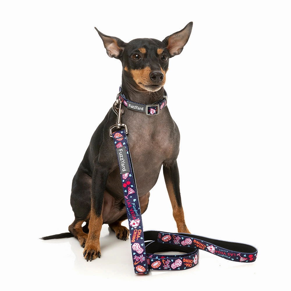 Fuzzyard Dog Lead Jackpup L 2.5cm x 140cm