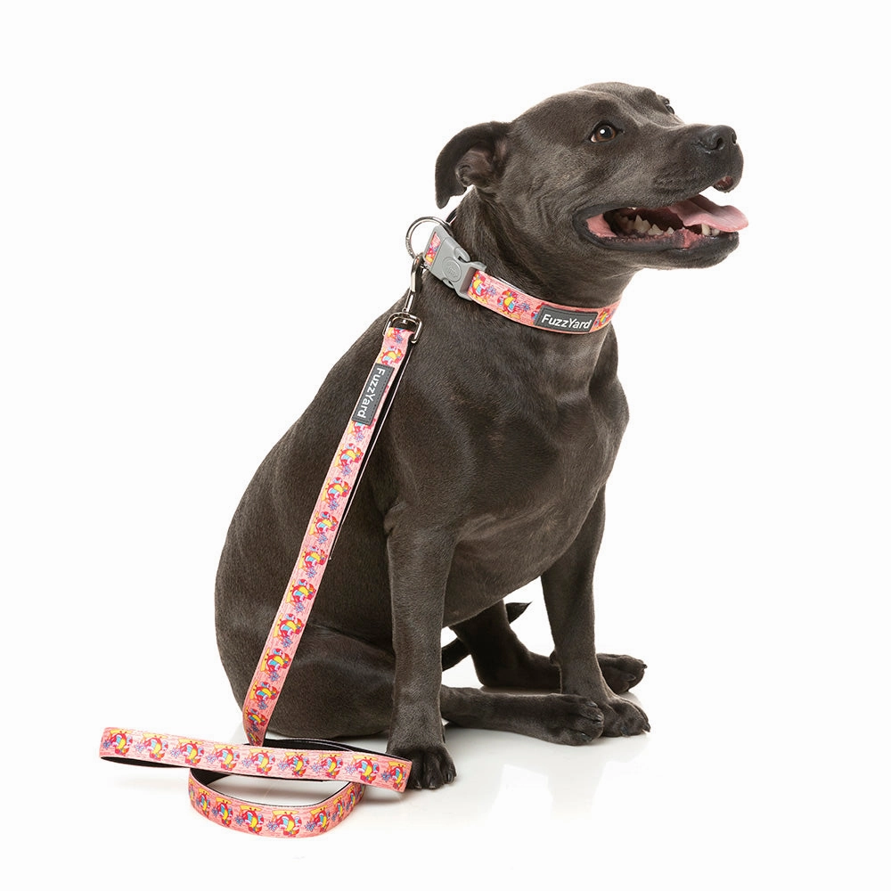 Fuzzyard Dog Lead Two-Cans S 1.5cm x 120cm