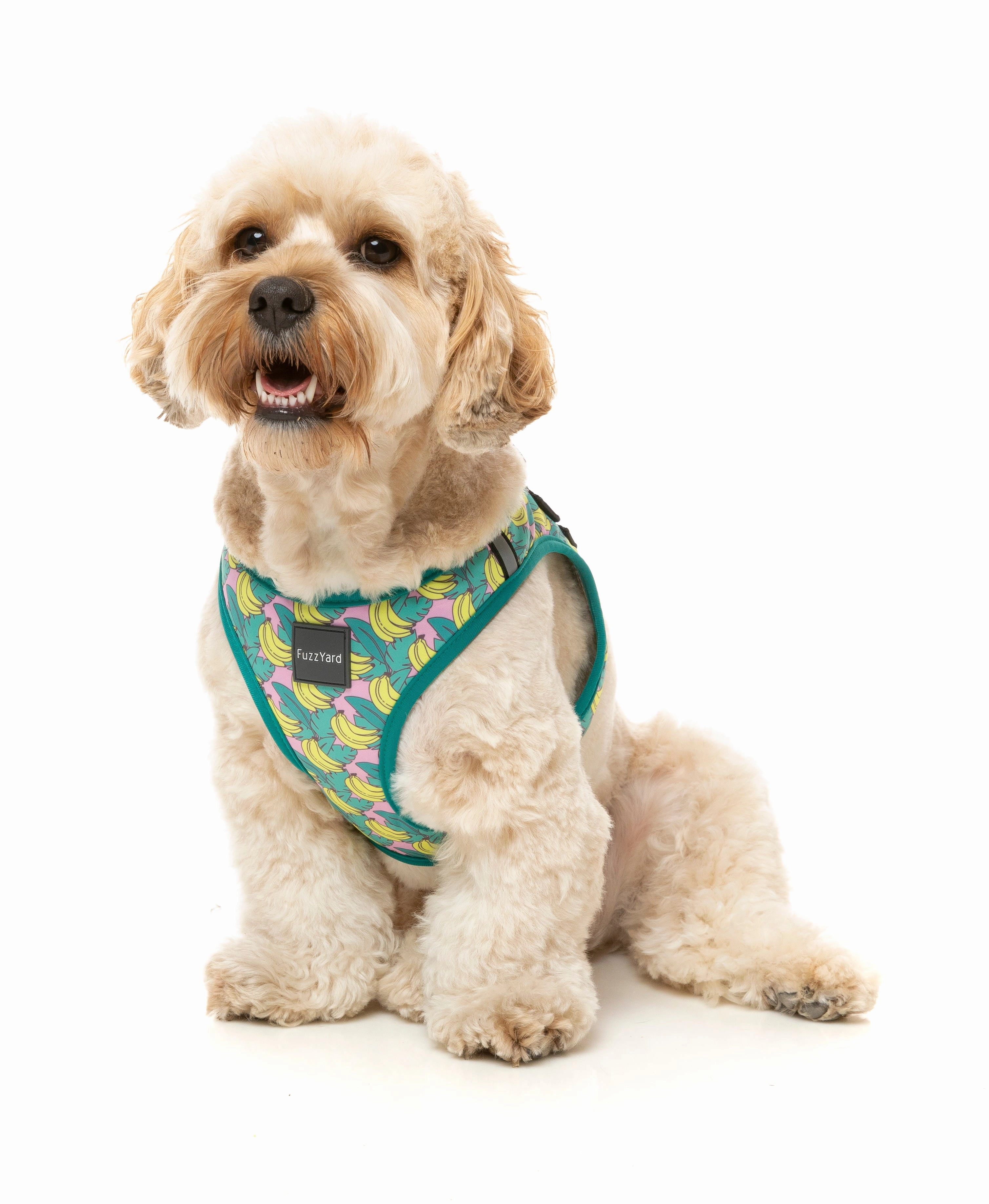 Fuzzyard Dog Step In Harness Bananarama M