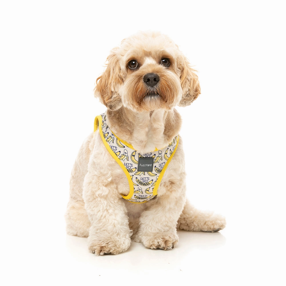 Fuzzyard Dog Step In Harness Go Bananas XS