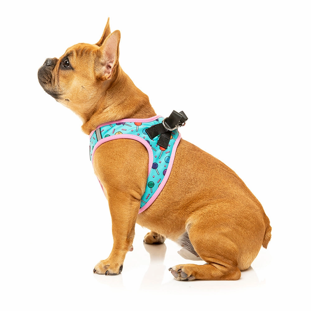 Fuzzyard Dog Step In Harness Hey Suckers! XXS