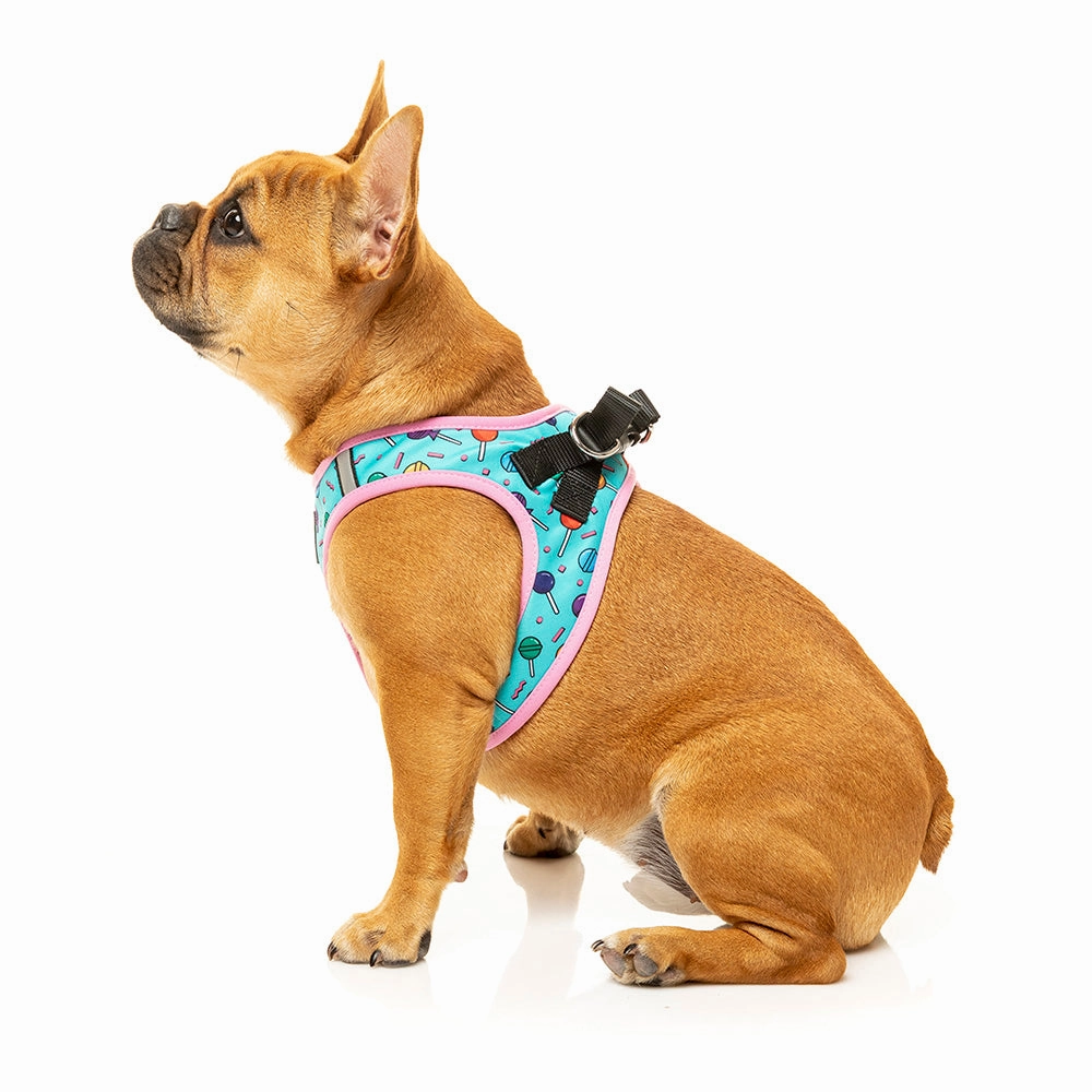 Fuzzyard Dog Step In Harness Hey Suckers! XXS