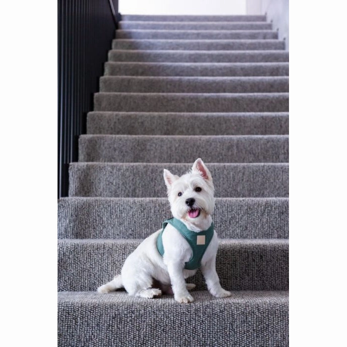 FuzzYard Life Step In Dog Harness Myrtle Green Extra Large