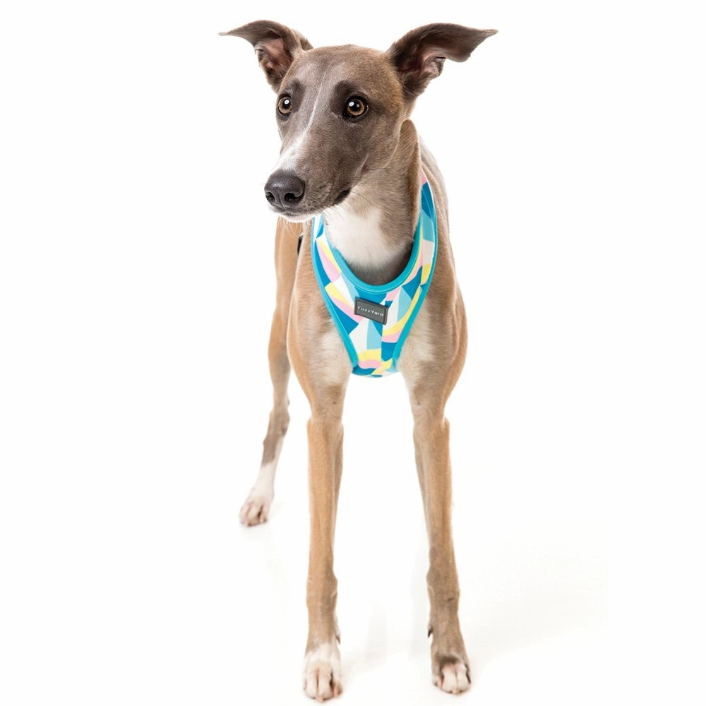 FuzzYard South Beach Dog Harness