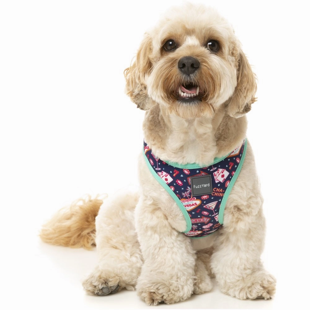 FuzzYard Step-In Dog Harness (Jackpup)