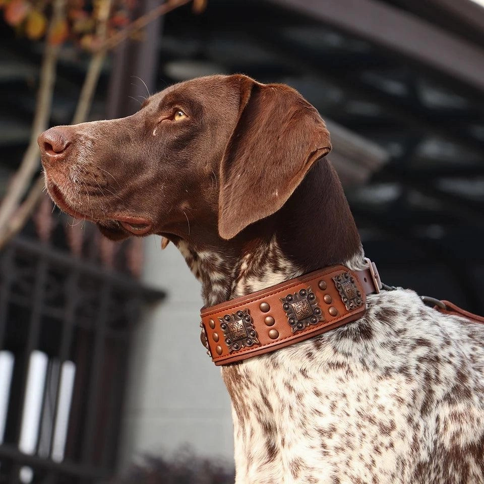 Genuine Leather Classic Collar