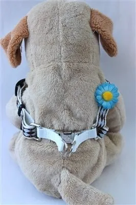 Gerber Daisy Blue Collection - Step In Harnesses All Metal Buckles