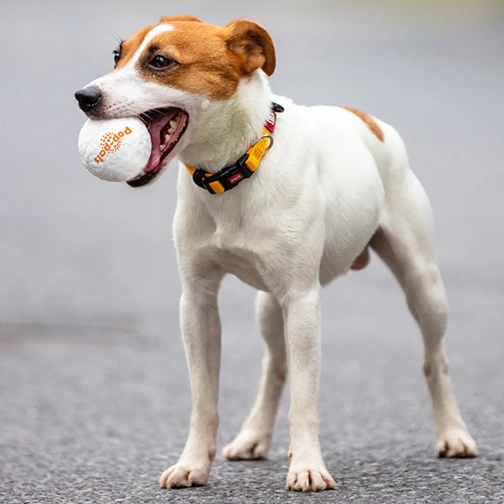 GiGwi Pop-Pals High Bounce Ball Dog Toy Medium