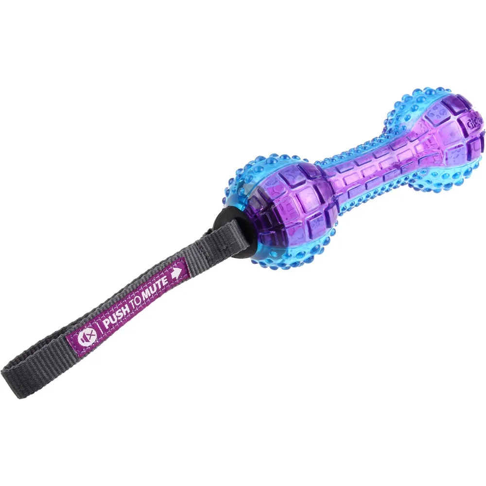 GiGwi Push To Mute Dumbbell Dog Toy (Purple/Blue)