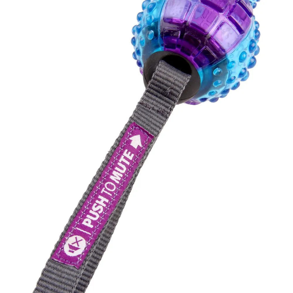 GiGwi Push To Mute Dumbbell Dog Toy (Purple/Blue)