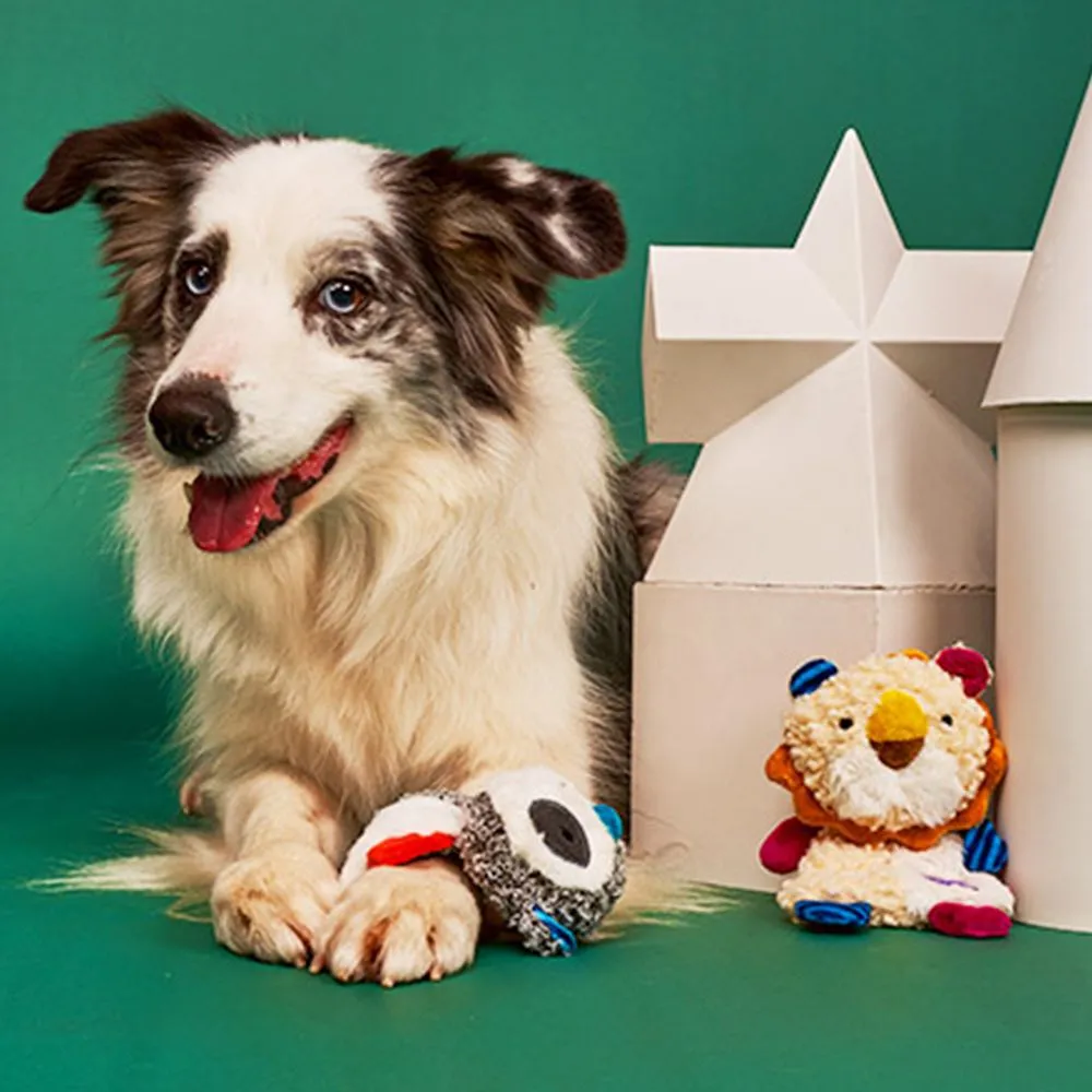 GiGwi Suppa Puppa Crinkly Plush Dog Toy (Racoon)