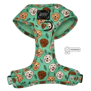 Glam Goldens Adjustable Harness